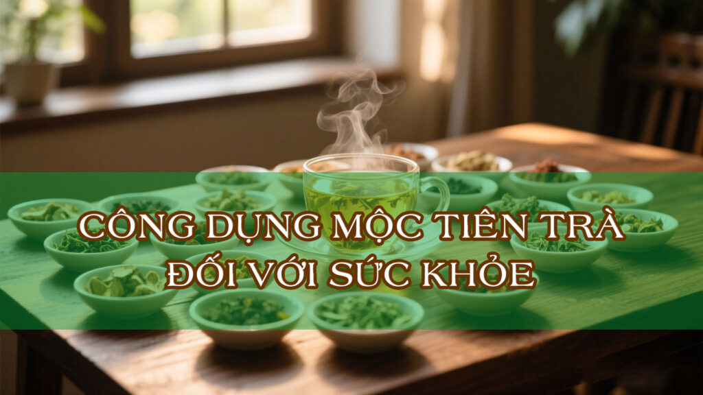 Công dụng trà Mộc Tiên Thảo mộc