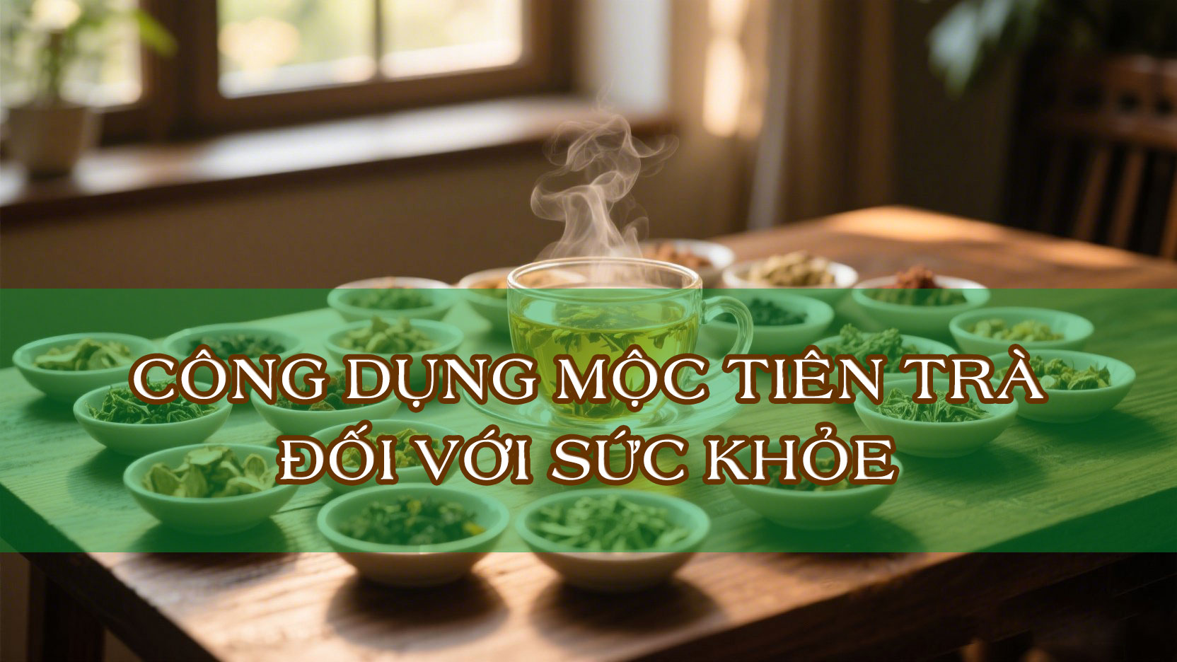 Công dụng trà Mộc Tiên Thảo mộc