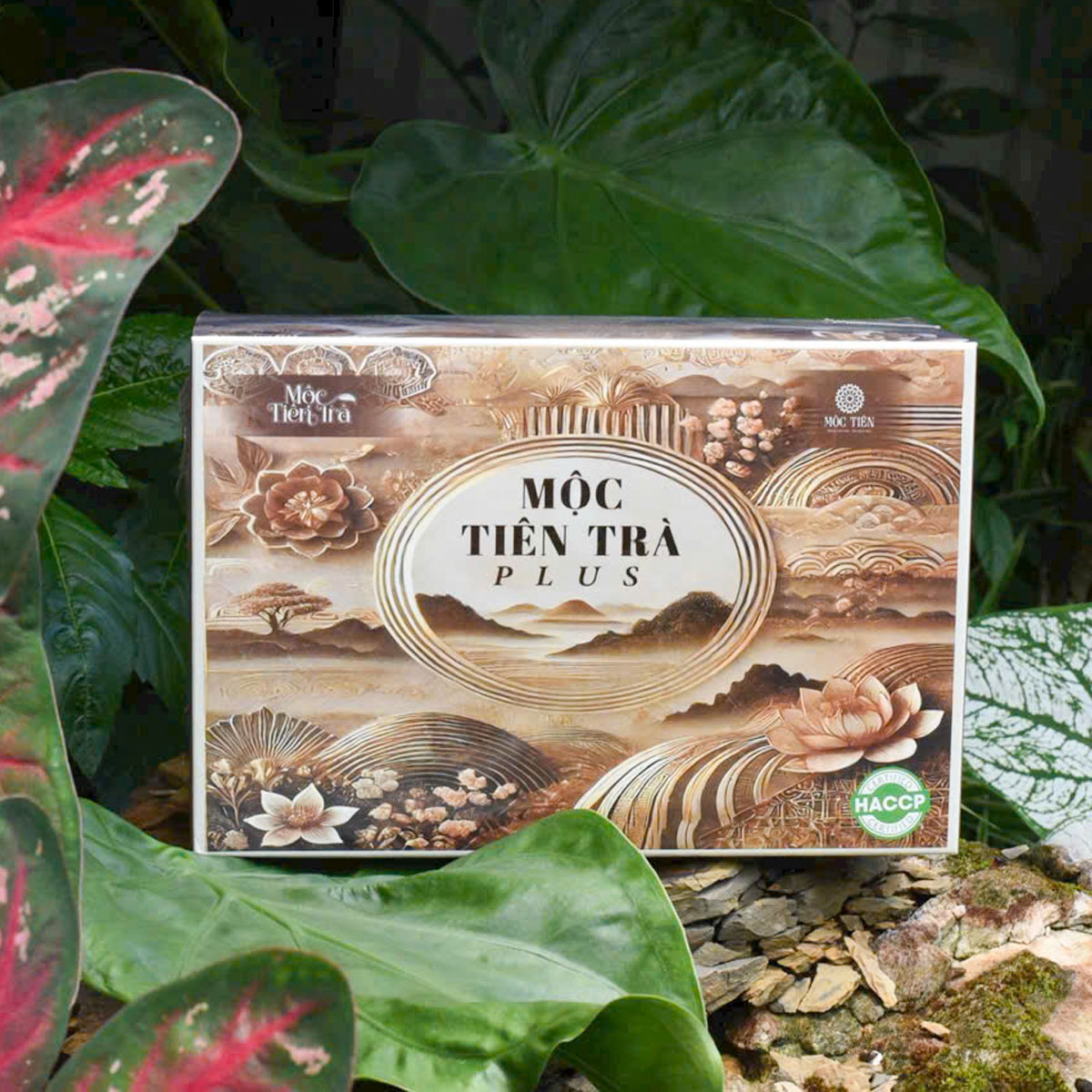 Mộc Tiên Trà plus trà thảo mộc