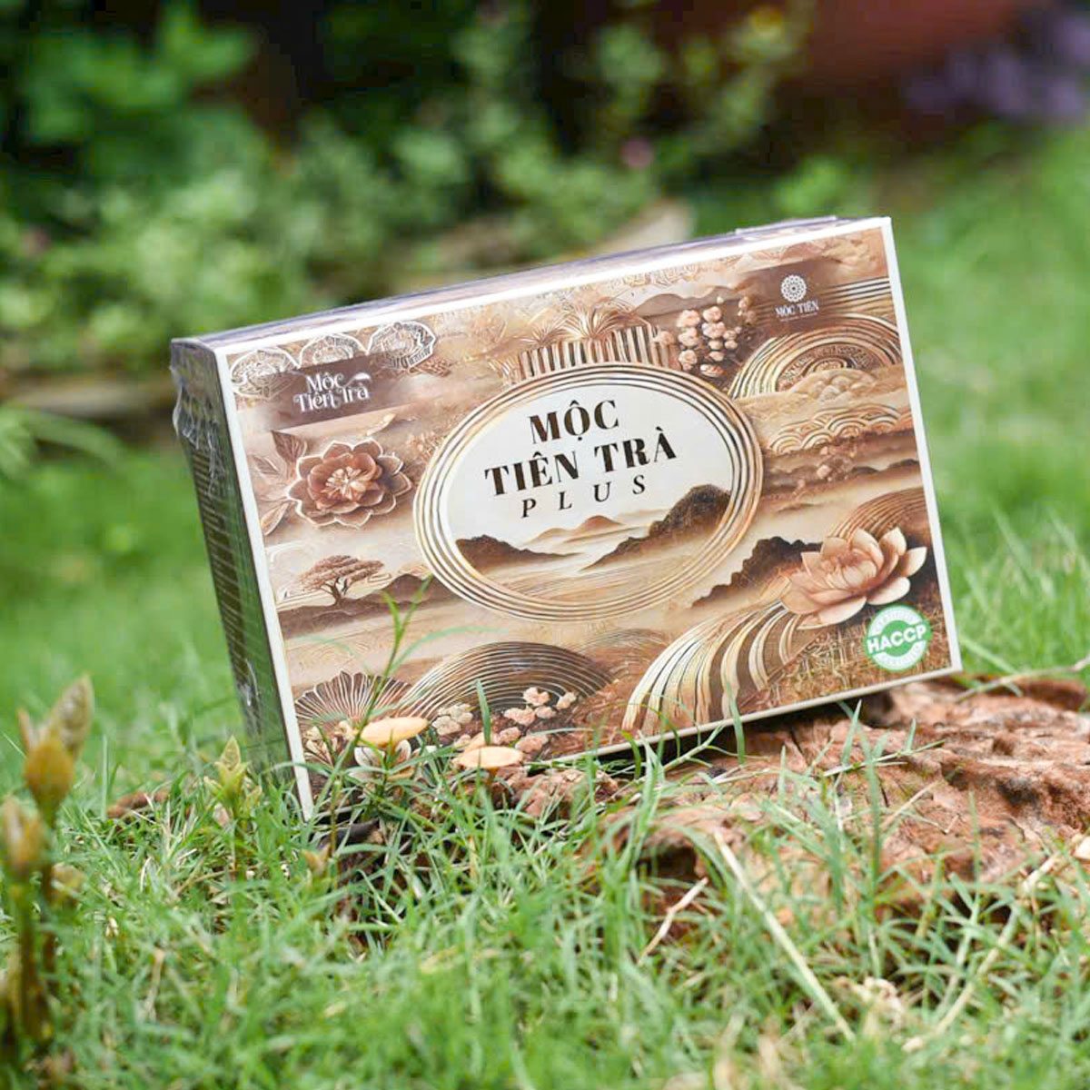 Mộc tiên trà plus sản phẩm