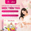 Trà Thảo Mộc Mẹ Bầu 3