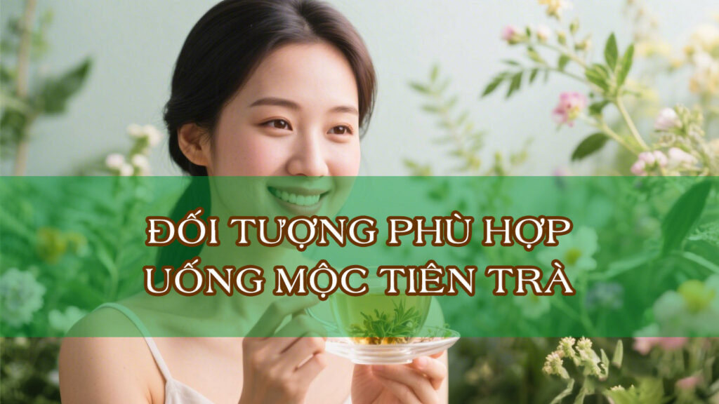Ai phù hợp uống Mộc Tiên Trà